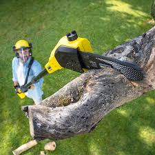 Best Lawn Mowing  in Cypress, CA